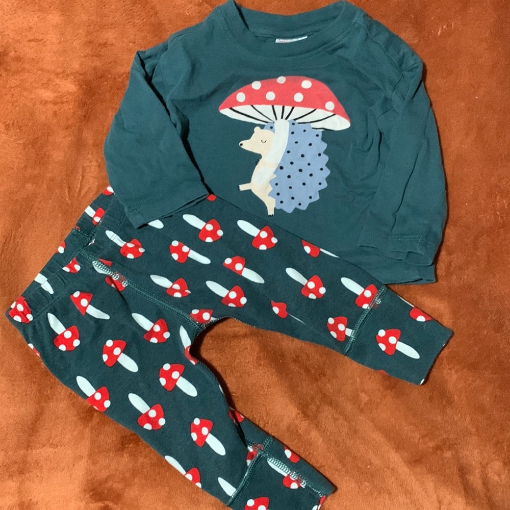Hanna Andersson matching outfit mushrooms hedgehog 70